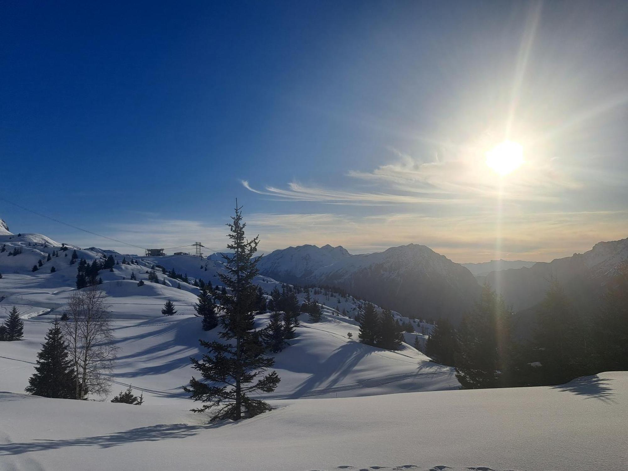 Chalet Augustin Villa Vaujany Esterno foto